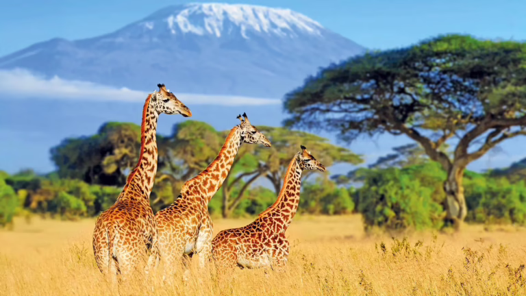 Trendtours-Kenia